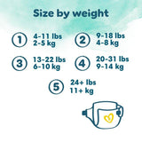 Pampers Harmonie Nappies Size 5 Essential Pack   21 per pack