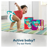 Pampers Premium Protection Nappies Size 4 (9-14kg) Essential Pack   37 per pack