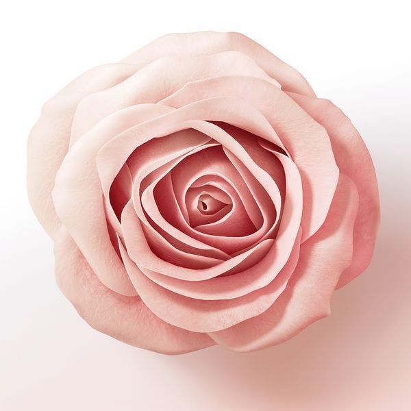 Pantene Lift &amp;amp; Volume Hair Conditioner, Biotin, 275ml