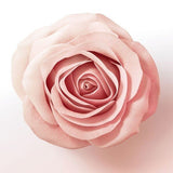 Pantene Lift &amp;amp; Volume Silicone Free Shampoo, Biotin, 400ml