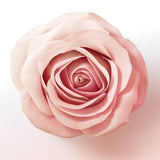 Pantene Pro-V Lift &amp;amp; Volume Silicone Free Conditioner Biotin &amp;amp; Rose Water   275ml