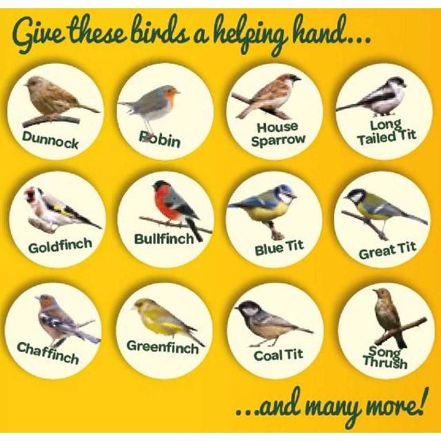 Peckish Extra Goodness Suet Nuggets For Wild Birds   1kg