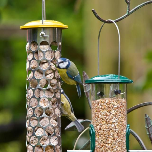 Peckish Extra Goodness Suet Nuggets For Wild Birds   2kg