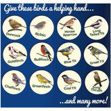 Peckish Mealworms For Wild Birds   500g