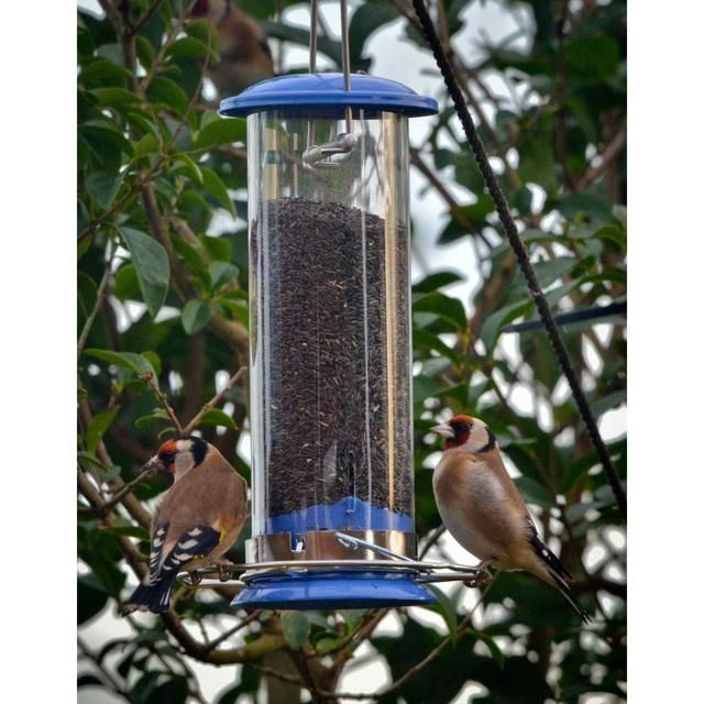 Peckish Nyjer Seed For Wild Birds   2kg