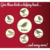 Peckish Robin Bird Seed and Insect Mix   1kg