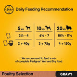 Pedigree Adult Wet Dog Food Pouches Mixed Varieties in Gravy   12 x 100g
