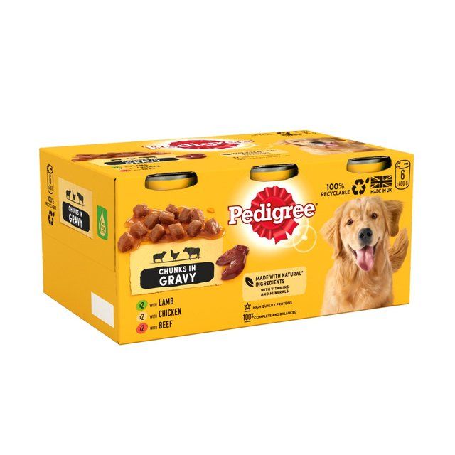 Pedigree Adult Wet Dog Food Tins Mixed in Gravy    6 x 400g