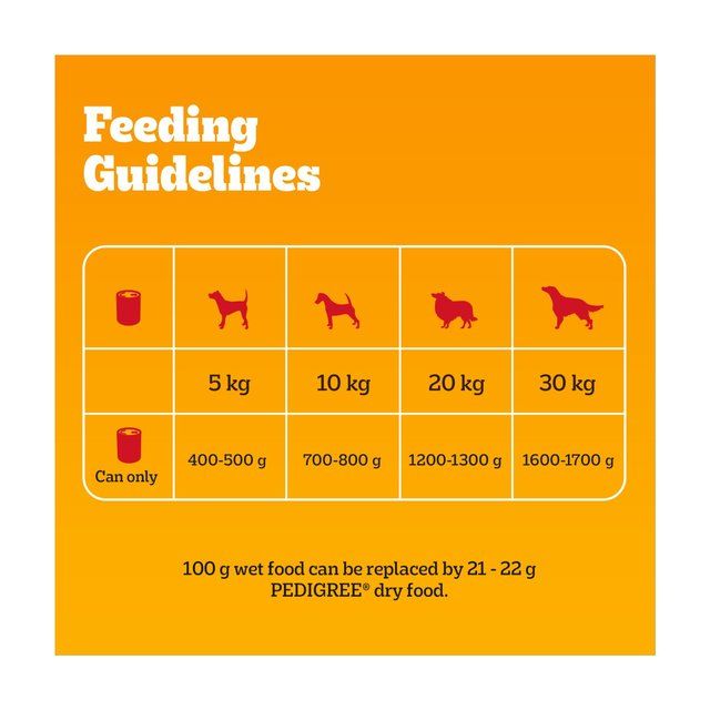 Pedigree Adult Wet Dog Food Tins Mixed in Jelly    6 x 385g