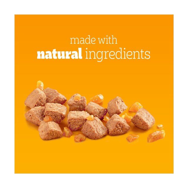 Pedigree Adult Wet Dog Food Tins Mixed in Jelly    6 x 385g