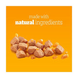 Pedigree Adult Wet Dog Food Tins Mixed in Jelly    6 x 385g