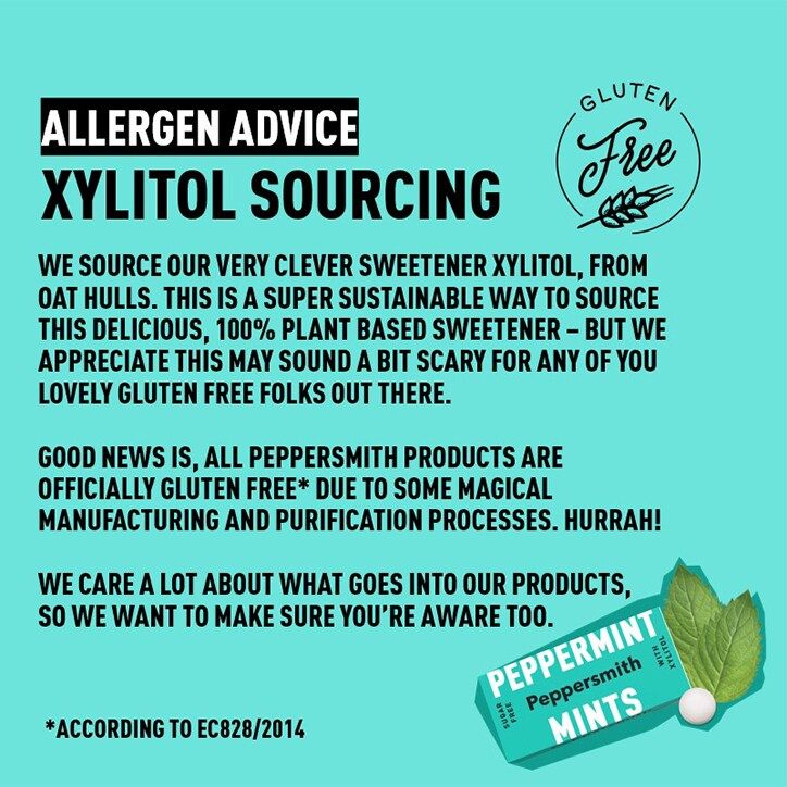 Peppersmith Sugar Free Spearmint Chewing Gum 15g