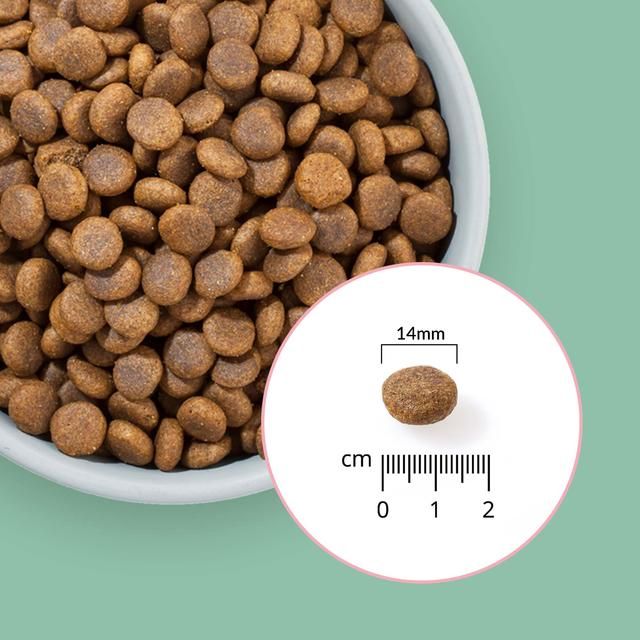 Percuro Insect Protein Adult Medium &amp;amp; Large Breeds Dry Dog Food   2kg