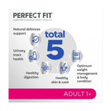 Perfect Fit Cat Complete Dry Adult 1+ Salmon   2.8kg