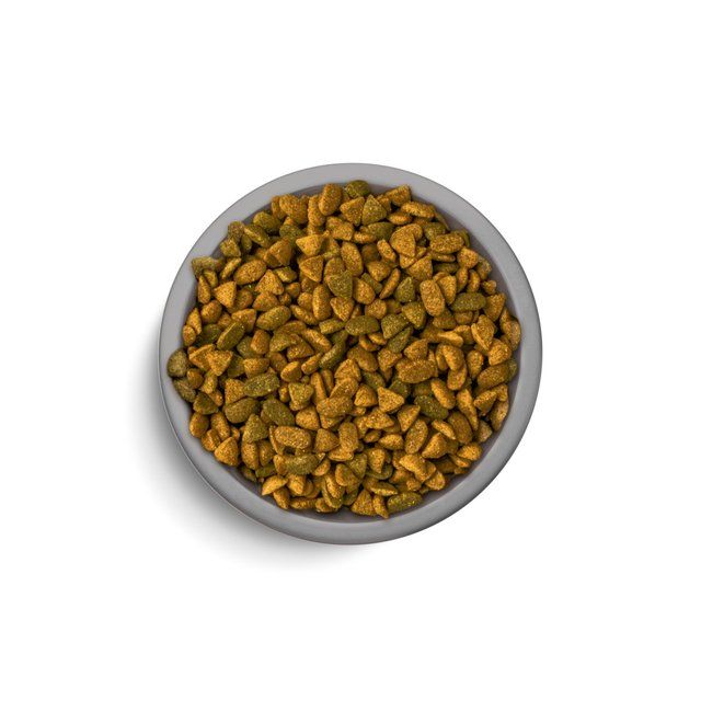 Perfect Fit Cat Complete Dry Senior 11+ Chicken   2.8kg