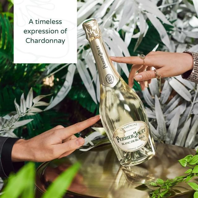 Perrier Jouet Blanc de Blanc   75cl