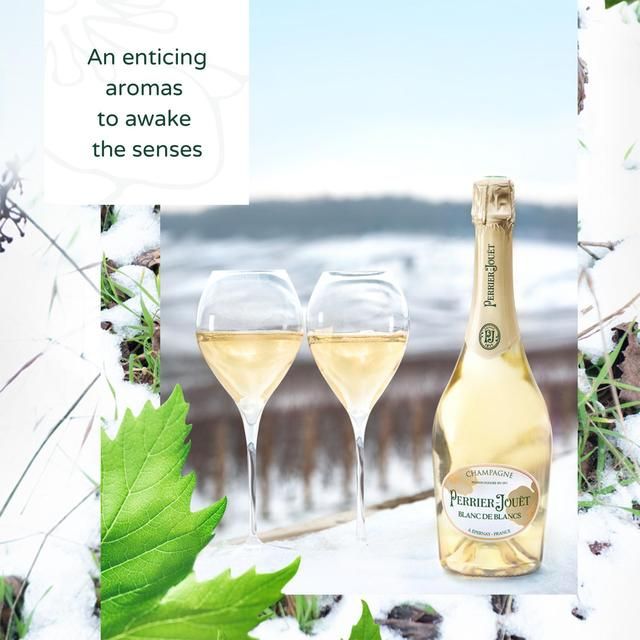 Perrier Jouet Blanc de Blanc   75cl