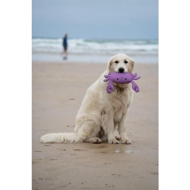 Petface Planet Ocean Cycle Callum Crab Plush Dog Toy