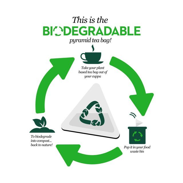 PG Tips Original Biodegradable Black Tea Bags   80 per pack