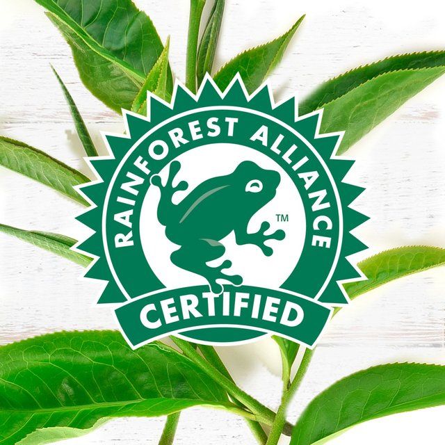 PG Tips Original Biodegradable Black Tea Bags   80 per pack