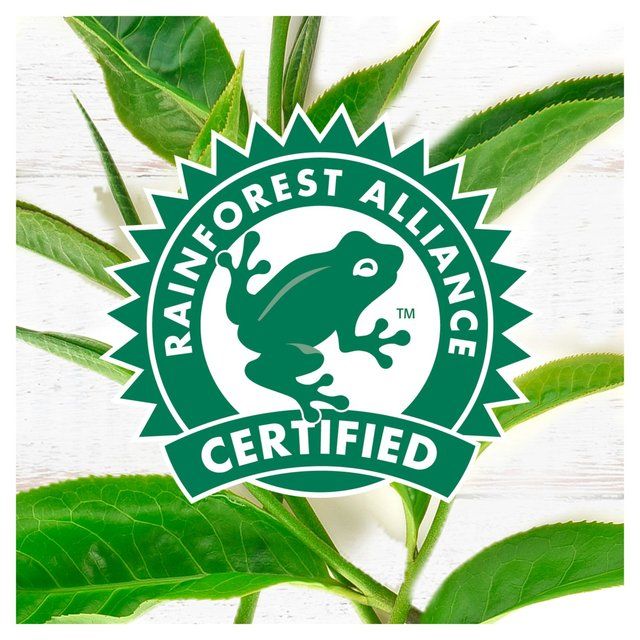 PG Tips Original Biodegradable Tea Bags   160 per pack