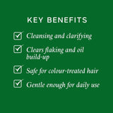 Philip Kingsley Flaky Itchy Scalp Anti-Dandruff Shampoo   500ml