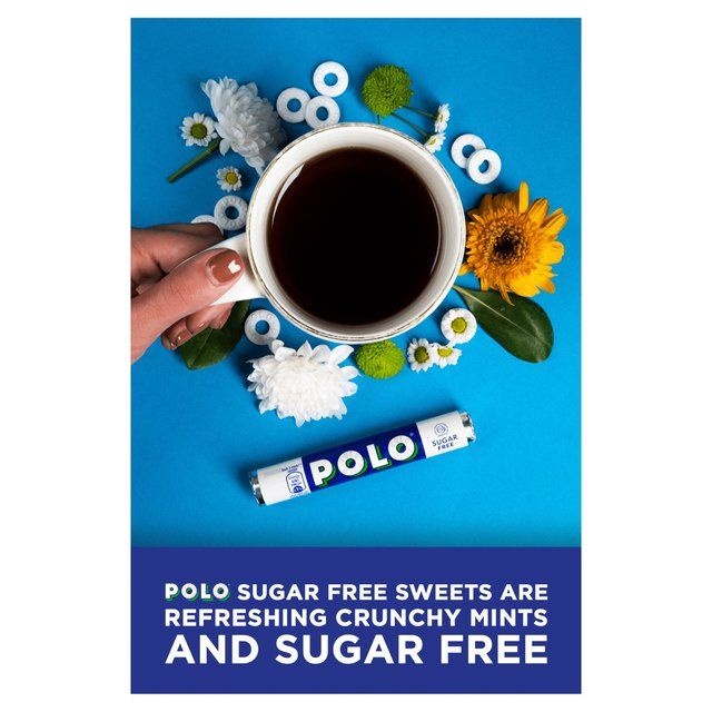 Polo Sugar Free Multipack   4 x 34g
