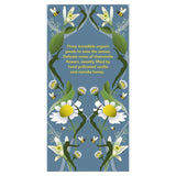 Pukka Tea Chamomile Vanilla &amp;amp; Manuka Honey Teabags   20 per pack