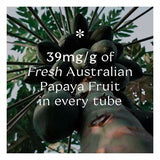 Pure Paw Paw  Multiuse Ointment  Watermelon 25g