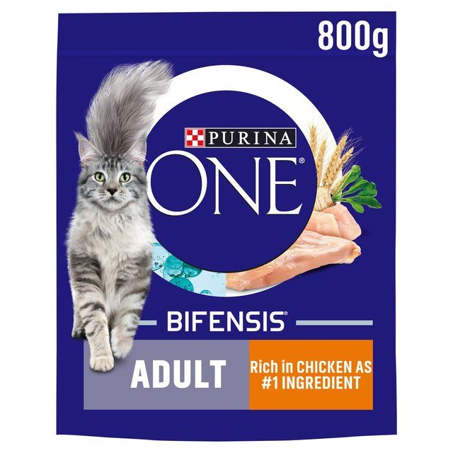 Purina One Chicken Dry Cat Food    800g