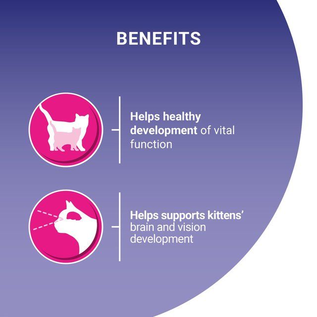 Purina One Kitten Chicken Dry Cat Food   750g