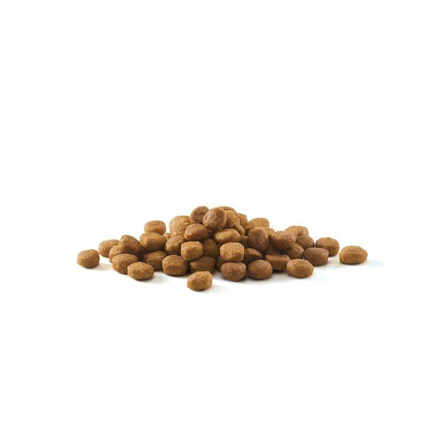 Purina ONE Light Dry Cat Food Chicken &amp;amp; Wheat   2.8kg