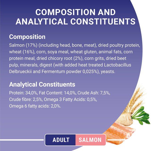 Purina One Salmon Dry Cat Food   800g