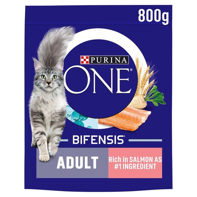 Purina One Salmon Dry Cat Food   800g