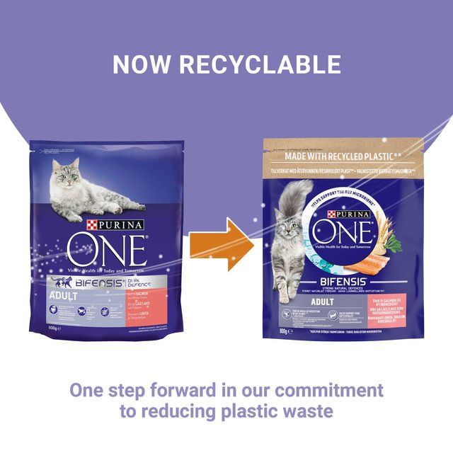 Purina One Salmon Dry Cat Food   800g