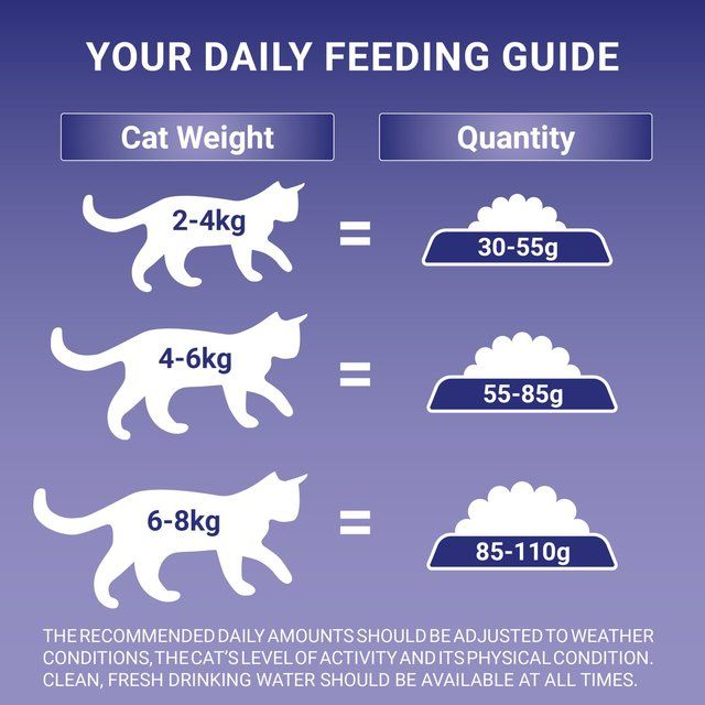 Purina One Sensitive Turkey Dry Cat Food   750g