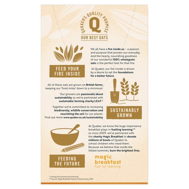 Quaker Oat So Simple Golden Syrup Porridge Sachets Cereal   10 per pack