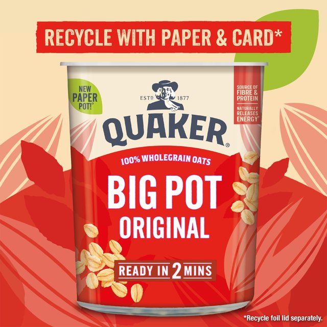 Quaker Oat So Simple Original Porridge Cereal Big Pot   60g