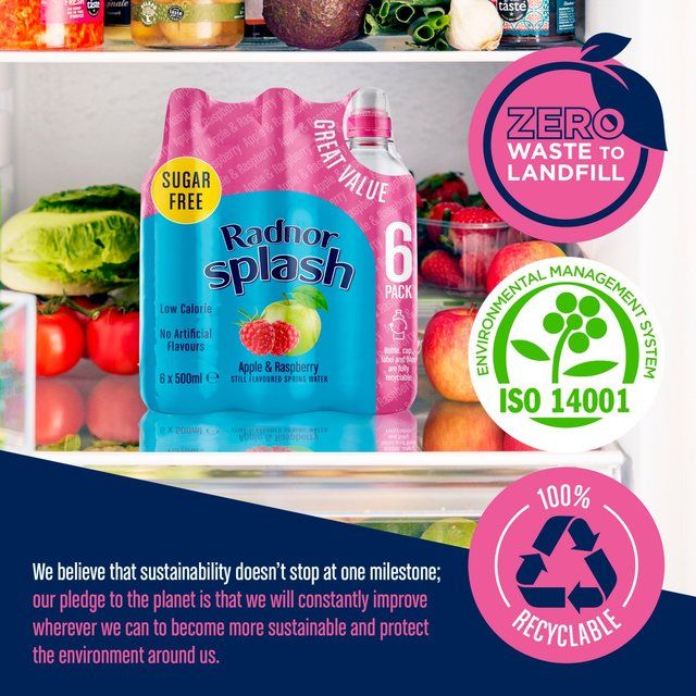 Radnor Splash Apple &amp;amp; Raspberry Flavoured Water   6 x 500ml