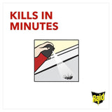 Raid Ant &amp;amp; Cockroach Killer   300ml