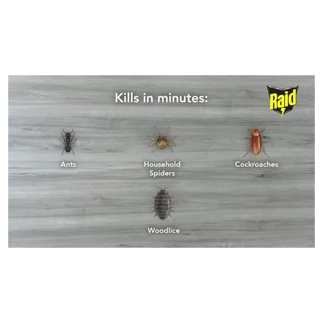 Raid Ant &amp;amp; Cockroach Killer   300ml