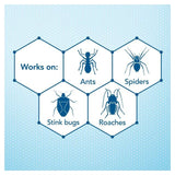 Raid Freeze Crawling Insects Spray   300ml