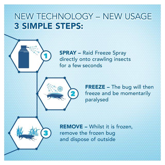 Raid Freeze Crawling Insects Spray   300ml