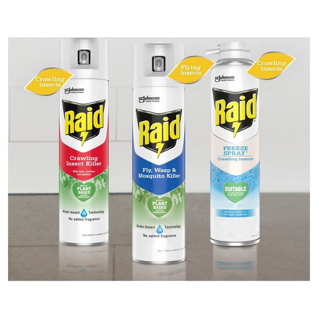 Raid Plant Based Crawling Insect Killer Aerosol Spray   300ml
