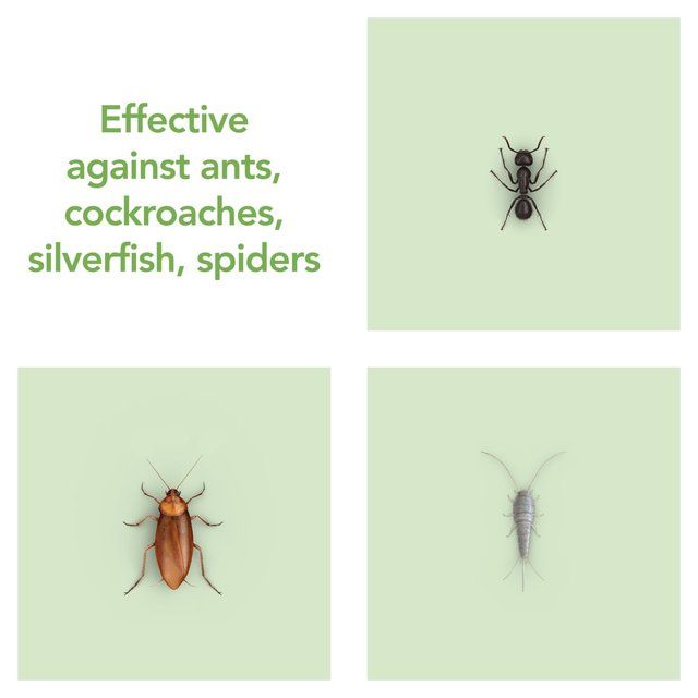 Raid Plant Based Crawling Insect Killer Aerosol Spray   300ml