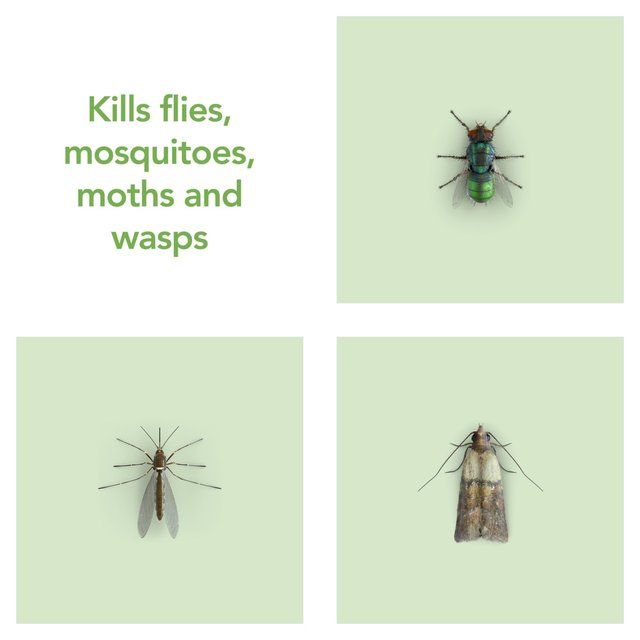 Raid Plant Based Fly Wasp &amp;amp; Mosquito Killer Aerosol Spray   300ml