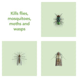 Raid Plant Based Fly Wasp &amp;amp; Mosquito Killer Aerosol Spray   300ml