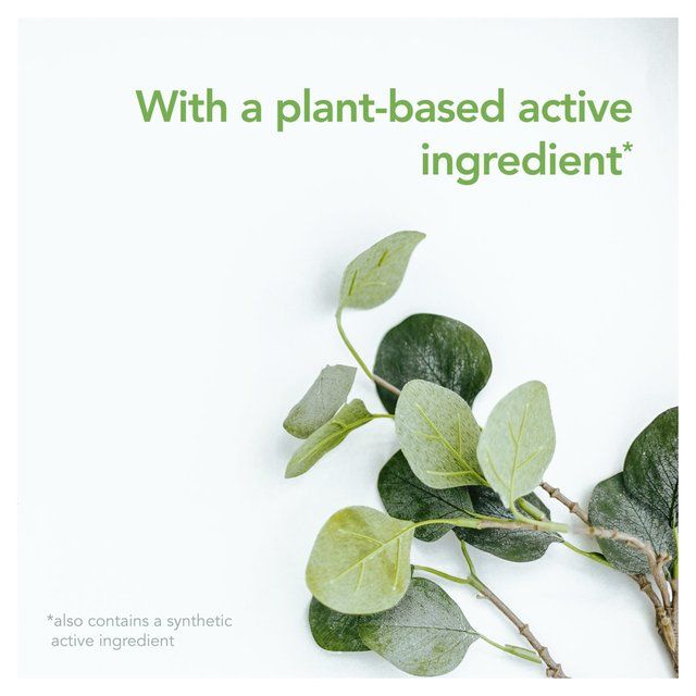 Raid Plant Based Fly Wasp &amp;amp; Mosquito Killer Aerosol Spray   300ml