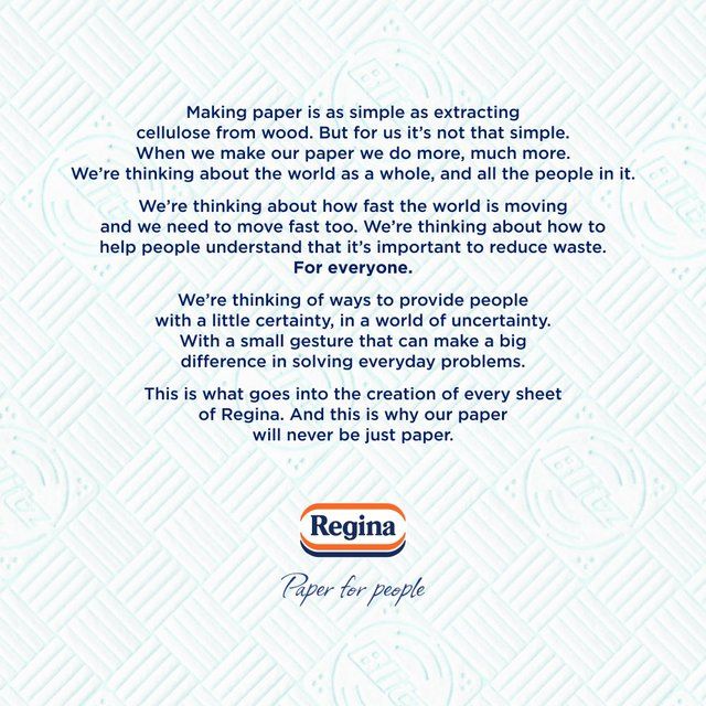 Regina Blitz Household Towel   2 per pack