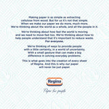 Regina Blitz Household Towel   2 per pack